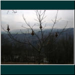 Rheinsteig II 043.jpg